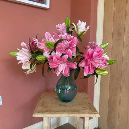 5 roselily stems
