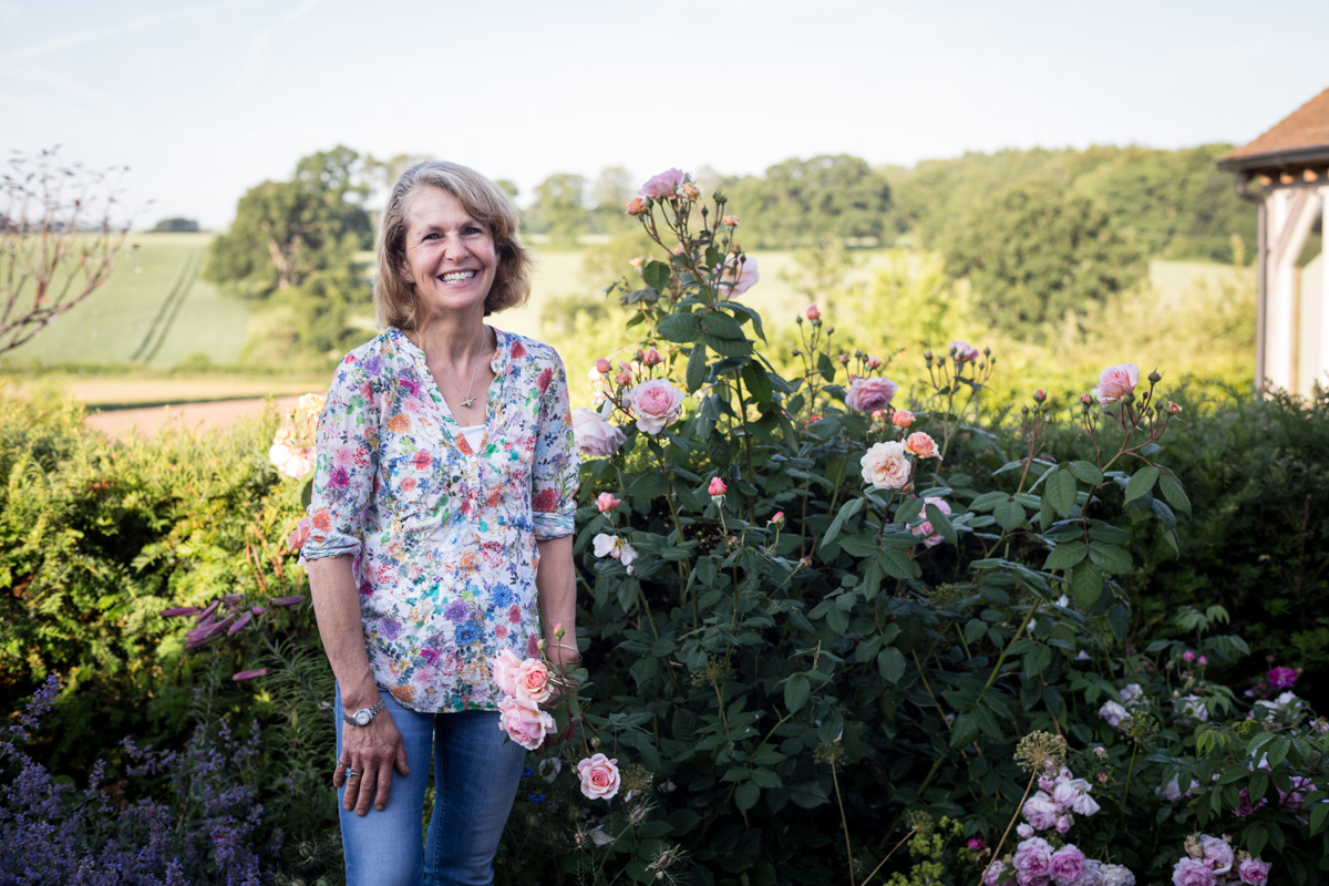 favourite roses to plant