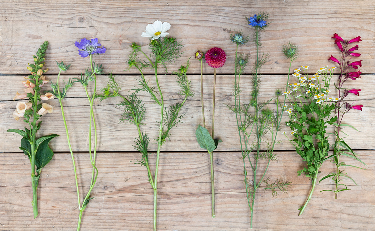 best of british bouquet